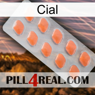 Cial 26